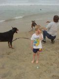 Dog Beach #6