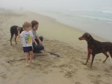 Dog Beach #13